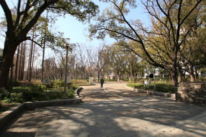 靱公園の画像1