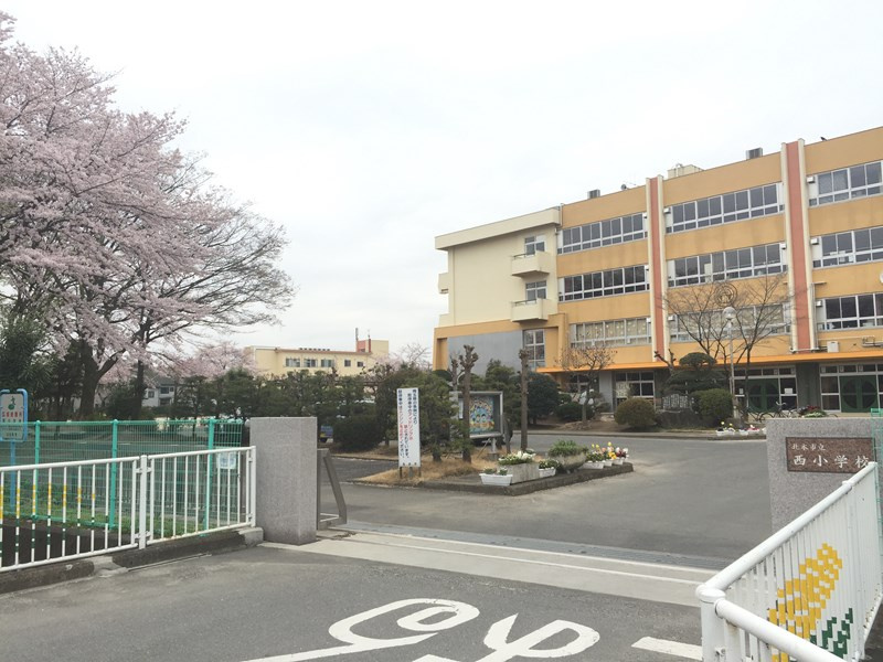 北本市西小学校の画像