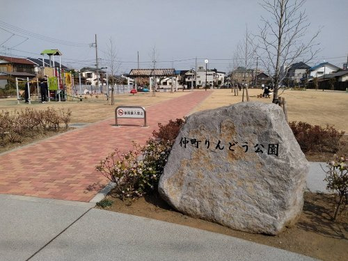 の画像