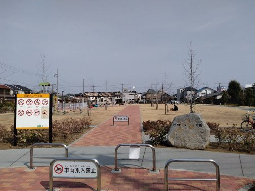 の画像