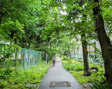 公園 北沢川緑道 上新井橋〜赤鶴橋