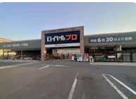 ロイヤルプロ 京都横大路店の画像1