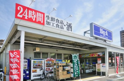 Big-A 所沢狭山ケ丘店の画像1