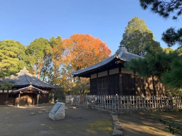 裏参道児童遊園地の画像1