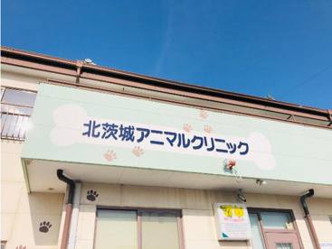 北茨城アニマルクリニックの画像1