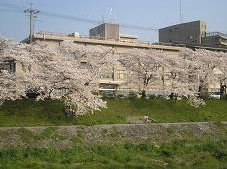 下鴨警察署の画像1