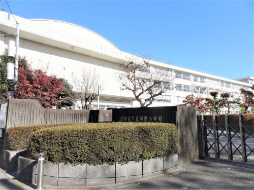 の画像