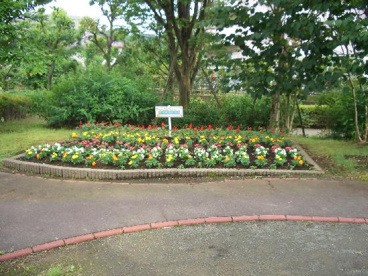 くりの実公園の画像1