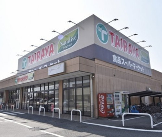 エコス TAIRAYA(タイラヤ) 小平店の画像1