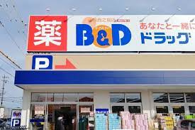 B&Dドラッグストア 小牧西之島店の画像1