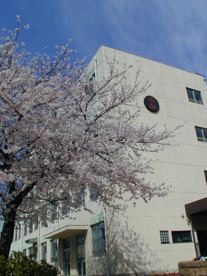 名古屋市立 東海小学校の画像1
