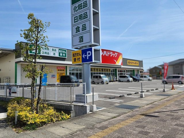 の画像