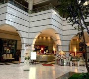 カフェ&バールヴィーヴォ