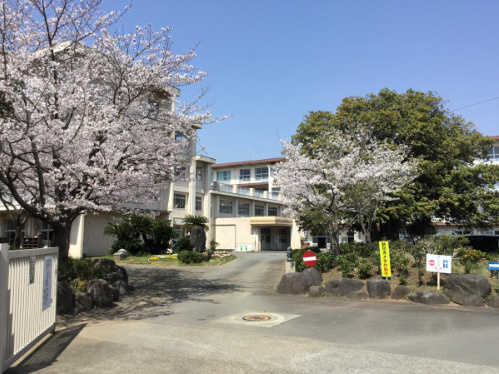 の画像