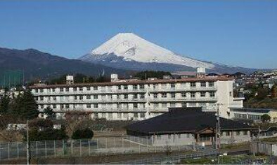 の画像