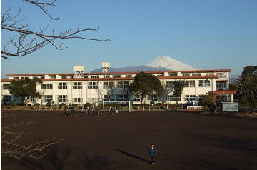の画像