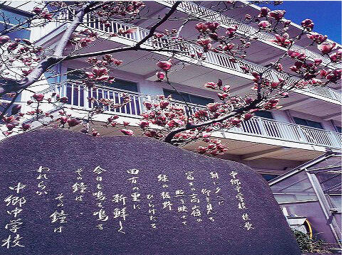 の画像
