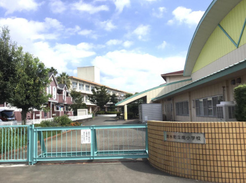 の画像