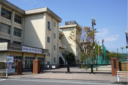 の画像