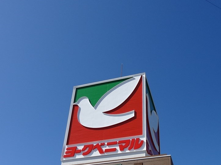 の画像