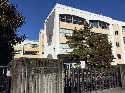 の画像