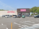 ドラッグコスモス高知横浜店
