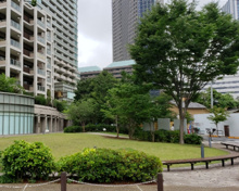 まちの保育園六本木