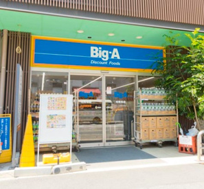 Big-A 柏南柏店の画像1