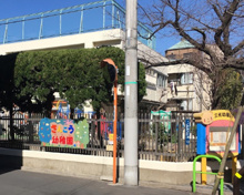 幼稚園 港区立 三光幼稚園