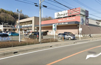 いちやまマート 上野原店の画像1