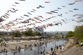 芥川桜堤公園