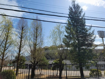 皇子山総合運動公園野球場(皇子山球場)の画像1