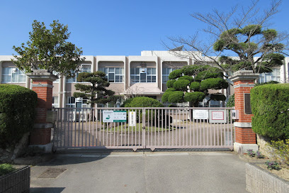 の画像