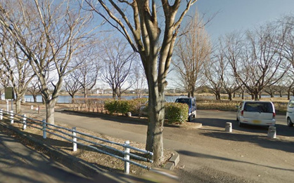乙戸沼公園の画像1