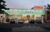 ドラッグスギヤマ 塩付通店