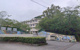藤枝中央小学校の画像