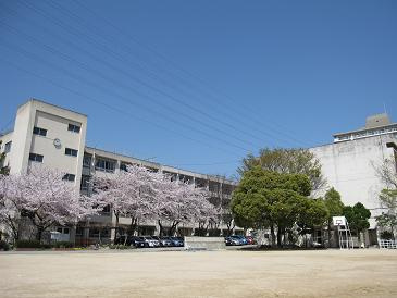 豊中市立 寺内小学校の画像1