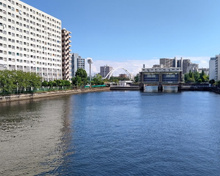 公園 高浜運河沿緑地