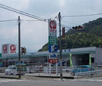 コメリハード&グリーン碓井店