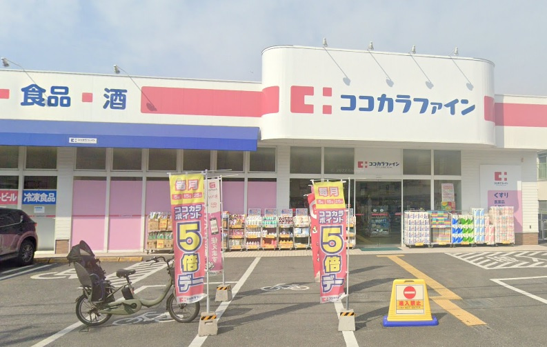 の画像