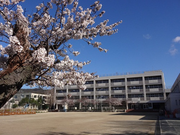 箕面市立 箕面小学校の画像1