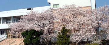 箕面市立 南小学校の画像1