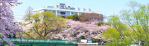 文教大学 越谷キャンパス