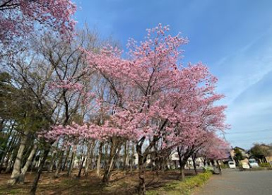 新田山公園の画像1