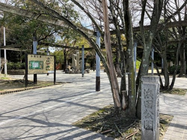 浜田公園の画像1