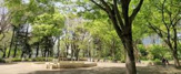 公園 高島平緑地公園