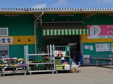 JA横浜 「ハマッ子」直売所 瀬谷店の画像1