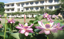白井小学校
