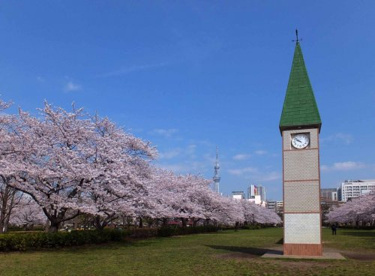 猿江恩賜公園の画像1