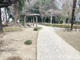 谷津の森公園の画像
